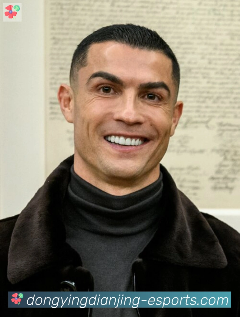 维尼修斯